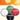 Red, Black, White & Green Fan Colour Bundle